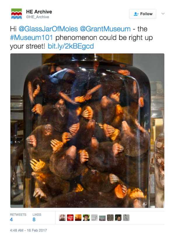 The #museum101 tag is a gallery of WTF and nopes