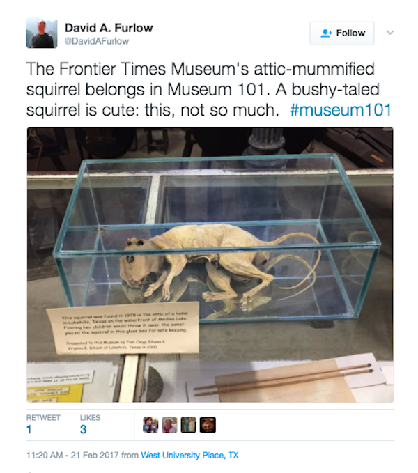 The #museum101 tag is a gallery of WTF and nopes