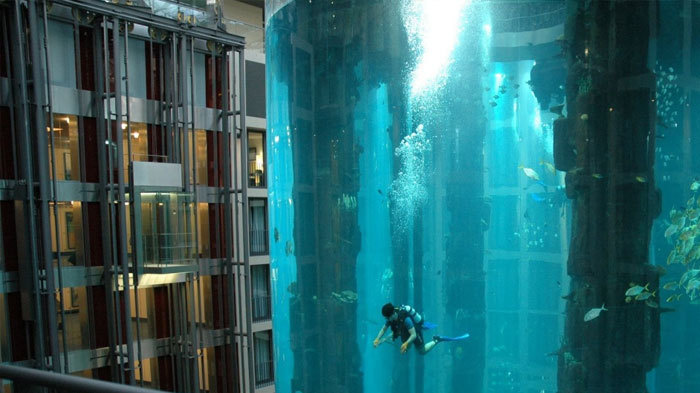 scuba diving hotel