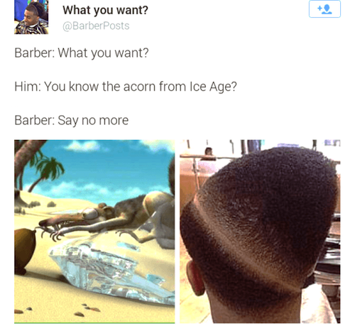 memes - acorn haircut - What you want? Barber What you want? Him You know the acorn from Ice Age? Barber Say no more