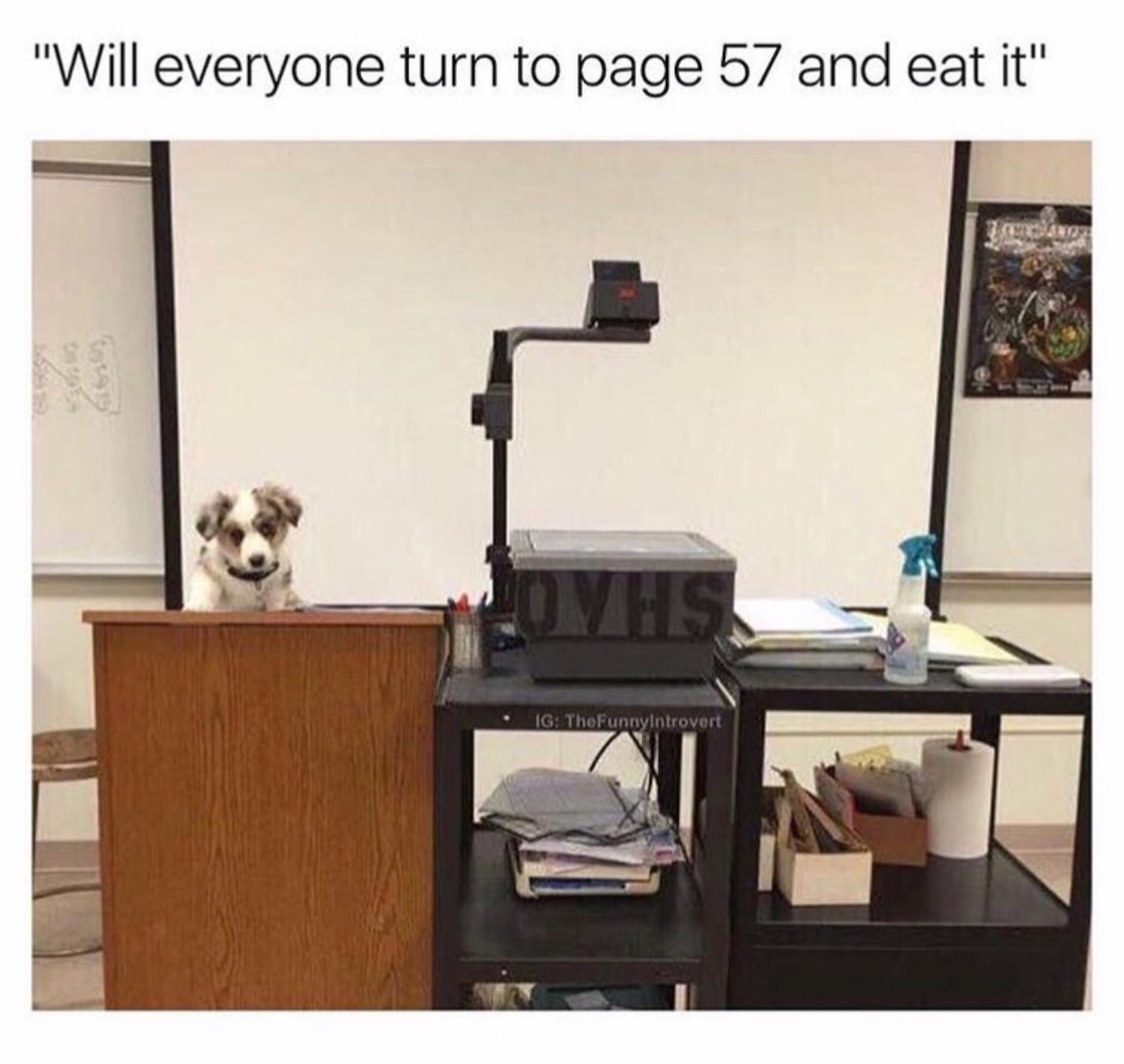 will everyone turn to page 57 and eat it - "Will everyone turn to page 57 and eat it" Ig TheFunnyIntrovert