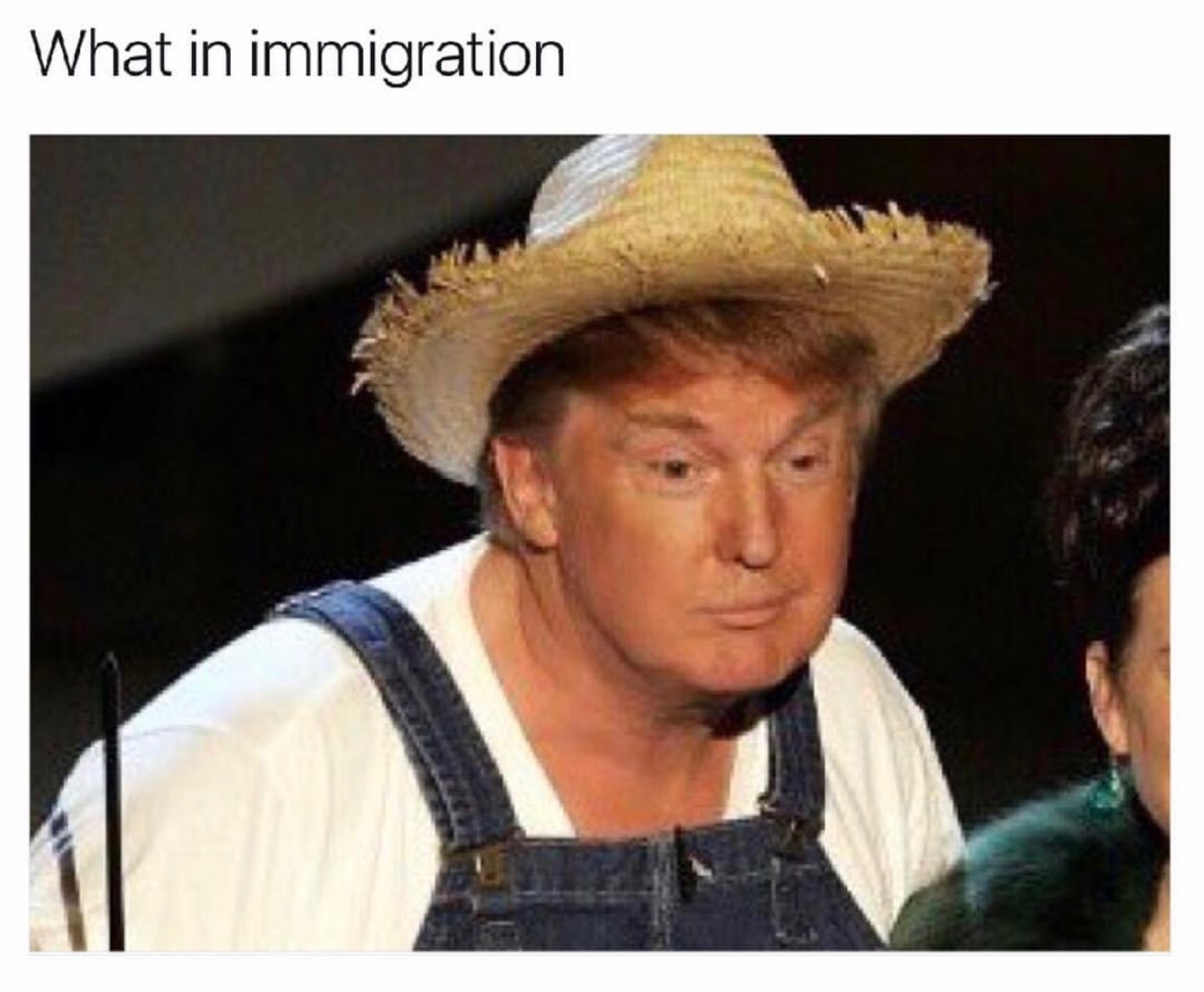 trump as farmer - What in immigration