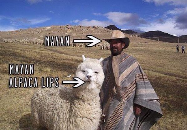 bolivian alpaca - Mayan Mayan Alpaca Lips >