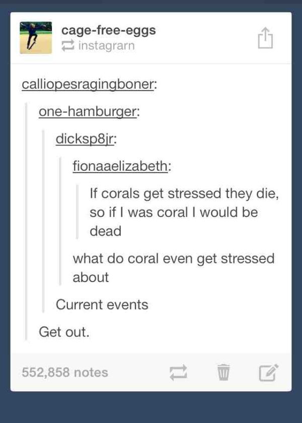 screenshot - cagefreeeggs instagrarn calliopesragingboner onehamburger dicksp8jr fionaaelizabeth If corals get stressed they die, so if I was coral I would be dead what do coral even get stressed about Current events Get out. 552,858 notes