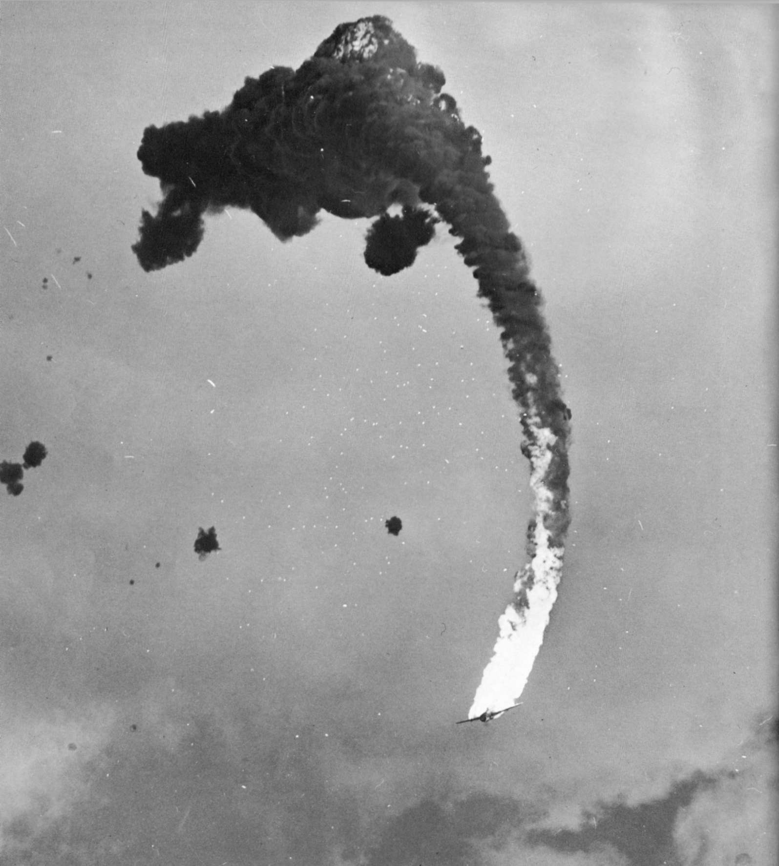 The final moments of a Japanese Dive Bomber, 1945