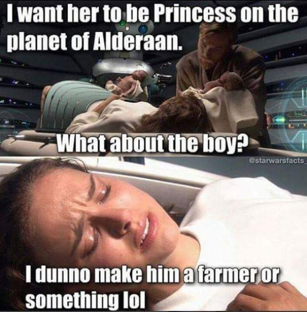 memes star wars - I want her to be Princess on the planet of Alderaan. What about the boy? I dunno make him a farmer or something lol