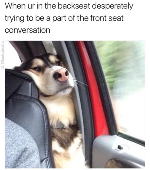 funny memes - When ur in the backseat desperately trying to be a part of the front seat conversation Ig sinatra