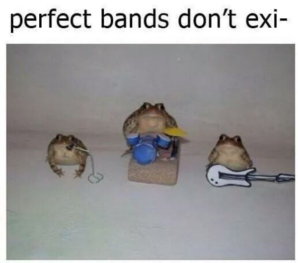 froggo and da crew - perfect bands don't exi