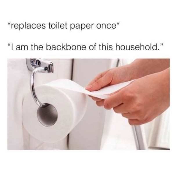 i m the backbone of this household meme - replaces toilet paper once "I am the backbone of this household."