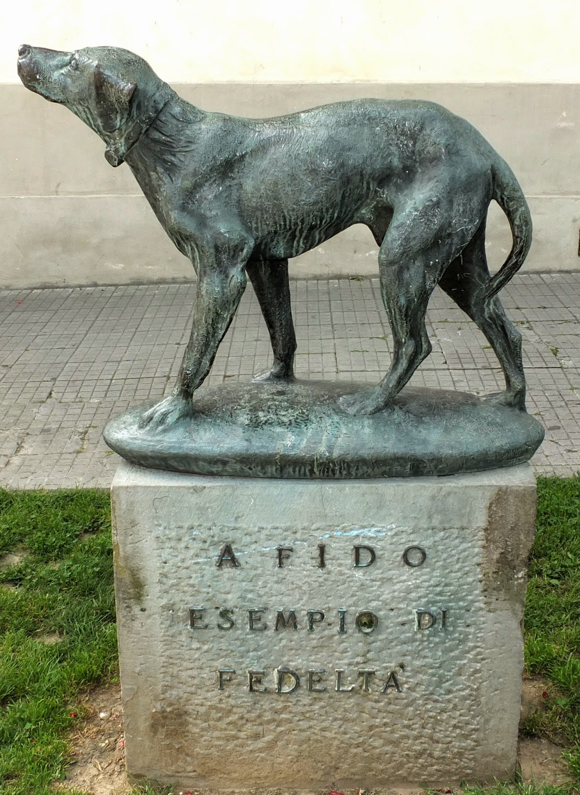 An Italian street dog named Fido who was found injured and nursed back to health by a factory worker. The dogs returned to his owner’s bus stop to wait for him every day for 14 years after his owner had died.