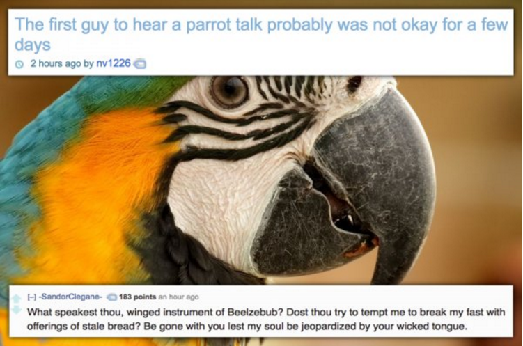 parrot looking bird - The first guy to hear a parrot talk probably was not okay for a few days 2 hours ago by nv1226 HSandorlegane 163 points an hour ago What speakest thou, winged instrument of Beelzebub? Dost thou try to tempt me to break my fast with o