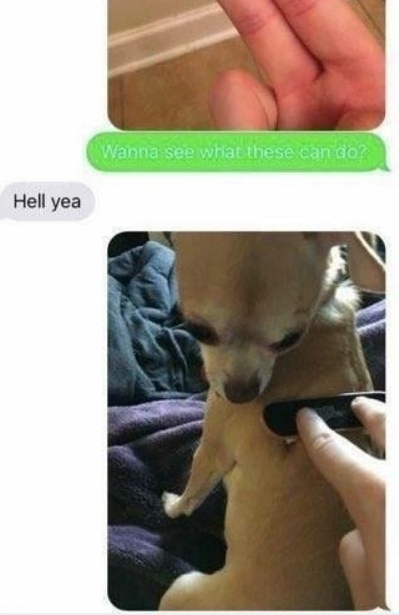 Dirty meme of asking a girl if she wants to see what these fingers do and it is skateboarding on the dog