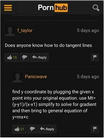 wholesome dirty meme of someone who asked on Pornhub about a math questions