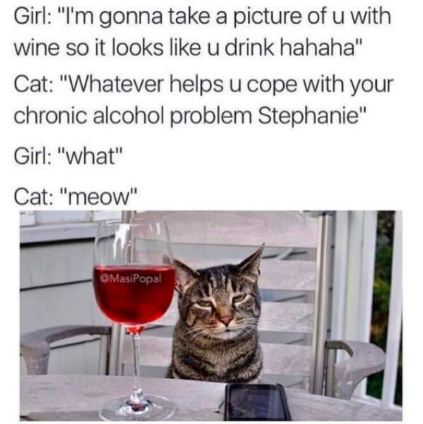 memes - cat wine meme - Girl "I'm gonna take a picture of u with wine so it looks u drink hahaha" Cat "Whatever helps u cope with your chronic alcohol problem Stephanie" Girl "what" Cat "meow"
