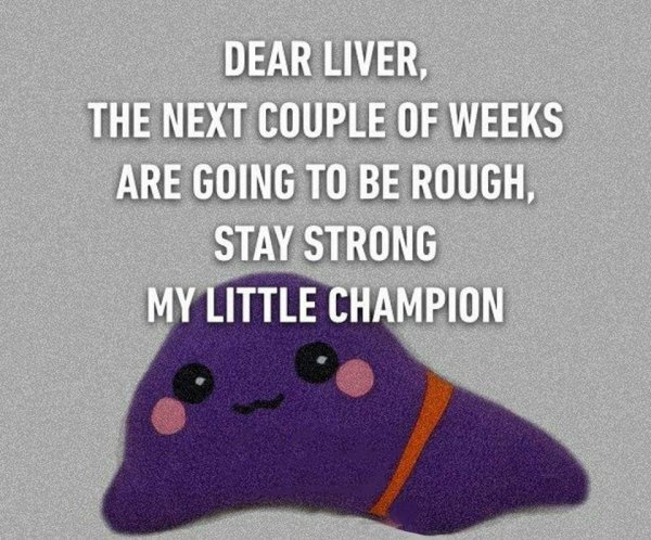 memes - dear liver memes - Dear Liver The Next Couple Of Weeks Are Going To Be Rough, Stay Strong My Little Champion