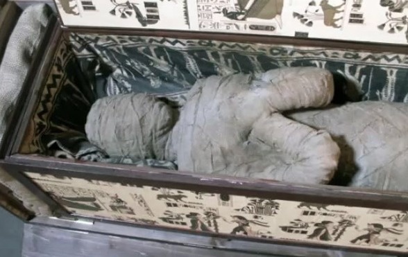 Mummy - Ten-year-old Alexander Kettler discovered a mummy in his grandmother's attic. The mummy was encased inside a sarcophagus with hieroglyphic adornments. It was actually obtained by Kettler's grandfather as a souvenir from a trip to North Africa in the 1950's. The mummy was taken to a hospital in Hamburg, Germany for testing to find out whether or not it's a real mummy.