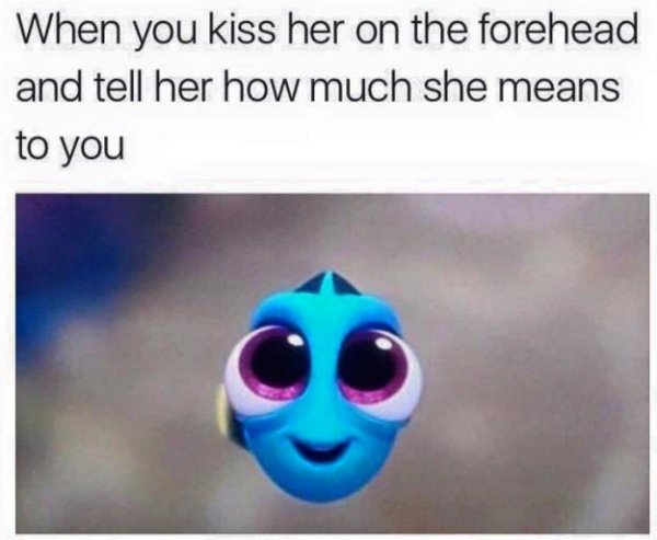 47 Feel Good Memes So Sweet They'll Give You Diabetes 