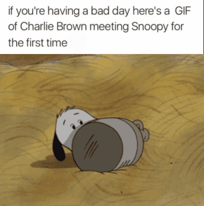 memes - t make decisions when you - if you're having a bad day here's a Gif of Charlie Brown meeting Snoopy for the first time