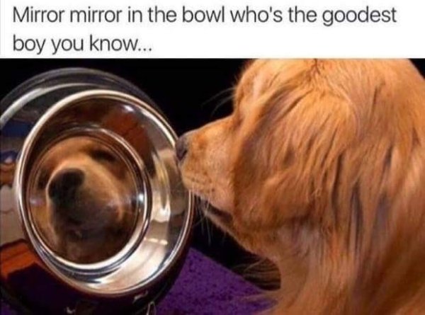 47 Feel Good Memes So Sweet They'll Give You Diabetes 