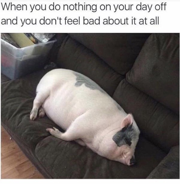 memes - you did nothing all day - When you do nothing on your day off and you don't feel bad about it at all
