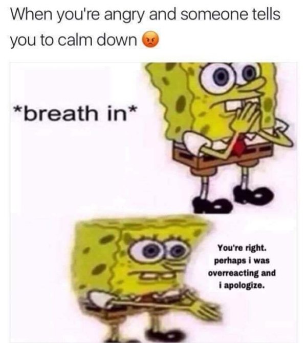 memes - spongebob boi meme - When you're angry and someone tells you to calm down breath in You're right. perhaps i was overreacting and i apologize.