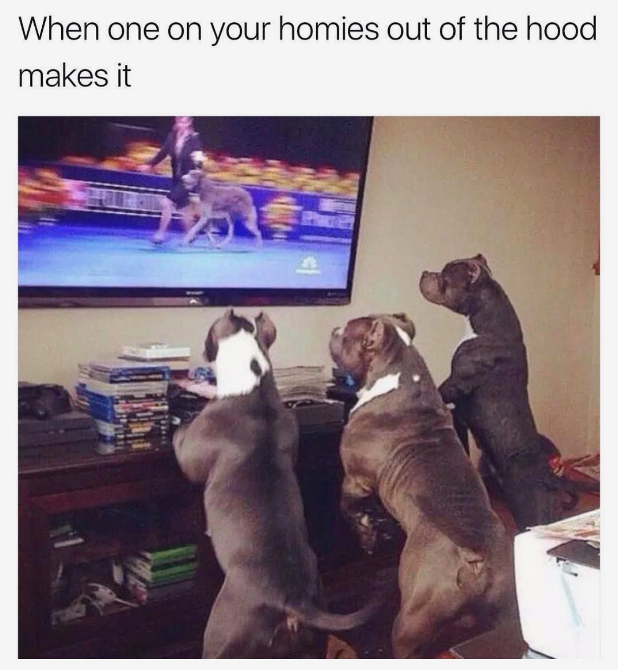hood dog meme - When one on your homies out of the hood makes it