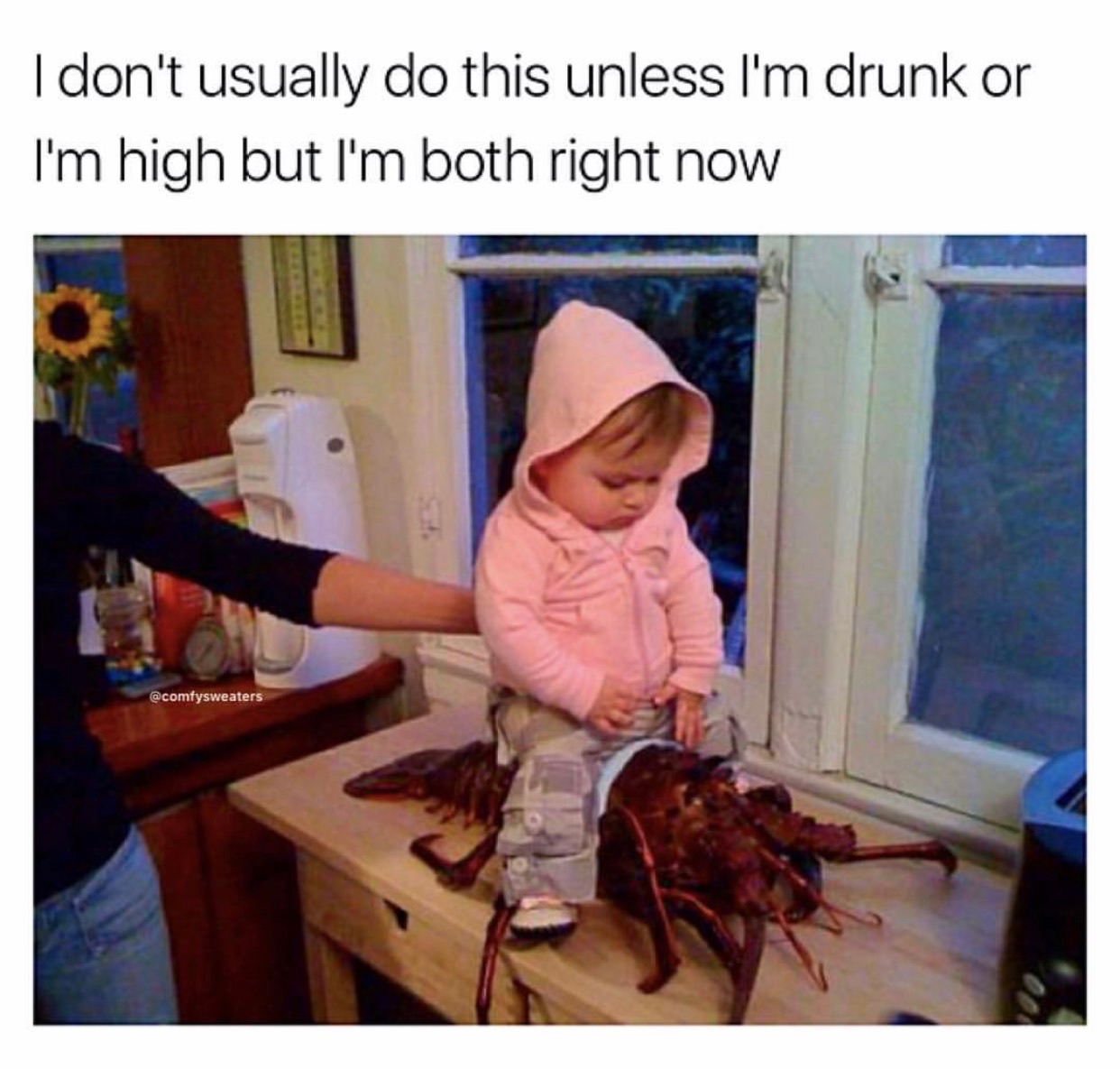 funny lobsters - I don't usually do this unless I'm drunk or I'm high but I'm both right now