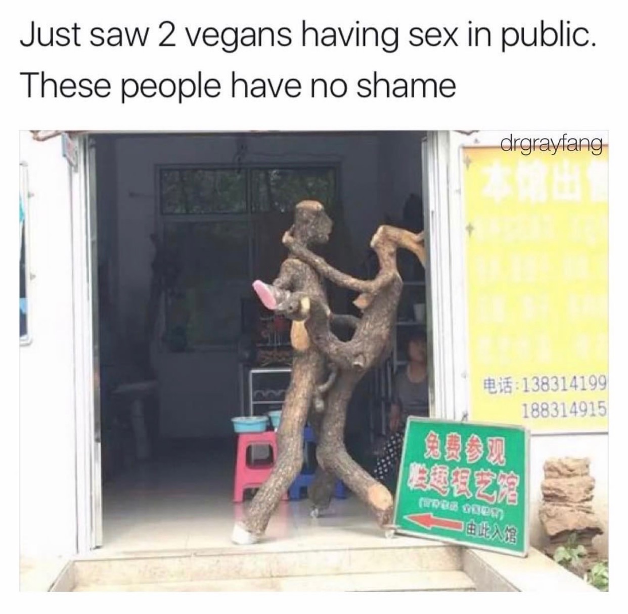 vegan sex meme - | Just saw 2vegans having sex in public. These people have no shame drgrayfang 138314100 188314915 Rb moes