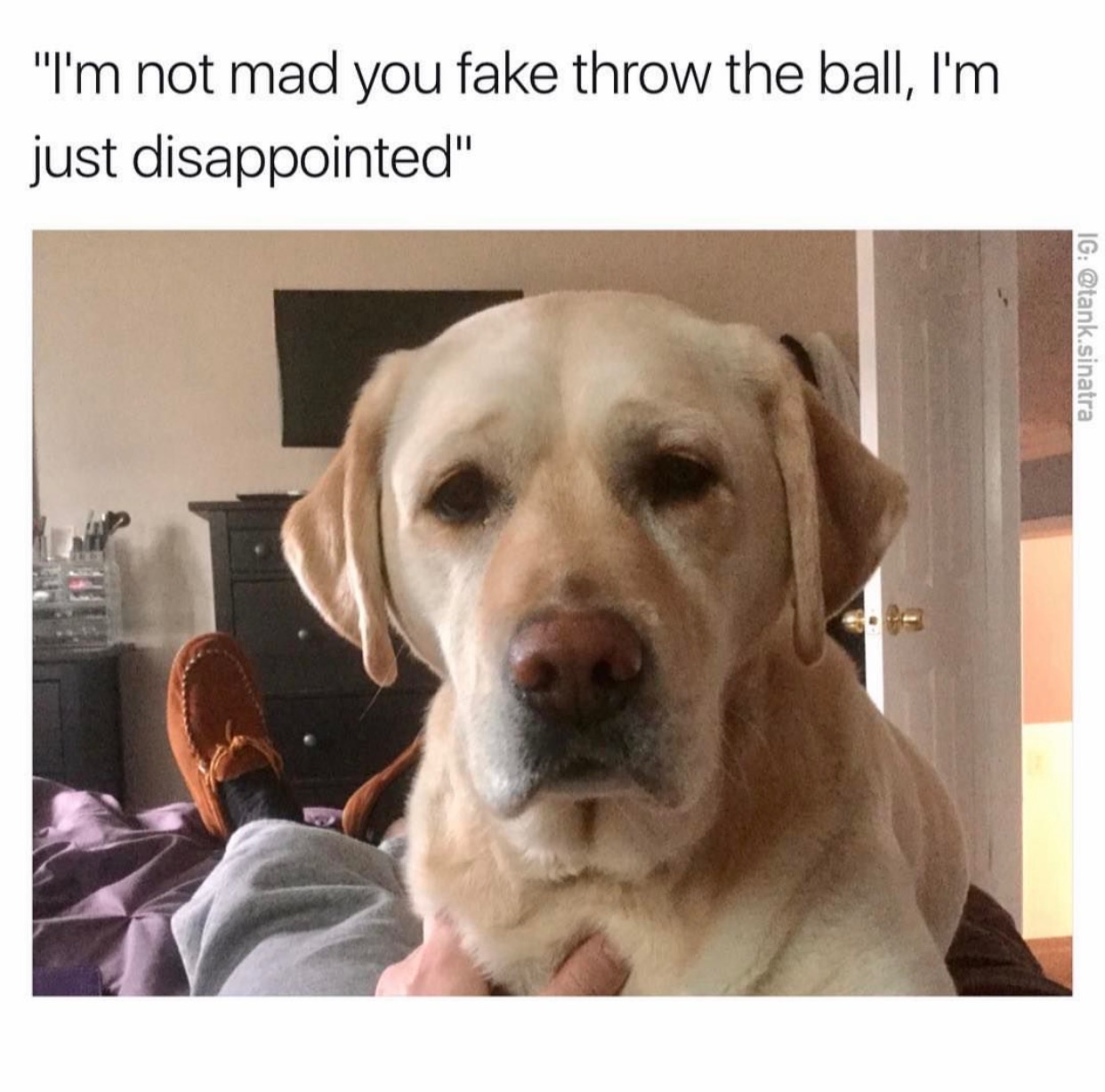 im not mad dank meme - "I'm not mad you fake throw the ball, I'm just disappointed" Ig .sinatra