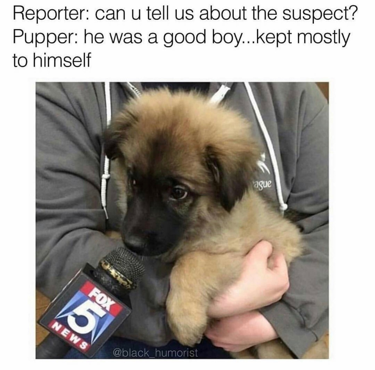 super dank memes - Reporter can u tell us about the suspect? Pupper he was a good boy...kept mostly to himself ague News