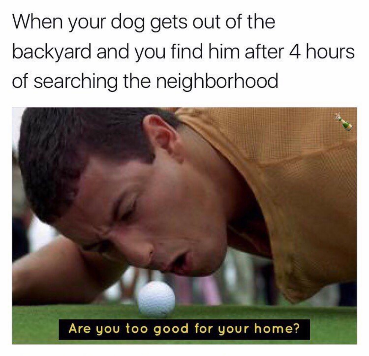 funny happy gilmore - When your dog gets out of the backyard and you find him after 4 hours of searching the neighborhood Are you too good for your home?