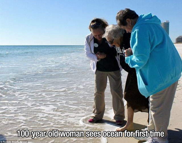 27 Photos Of People And Animals Experiencing Things For The First Time