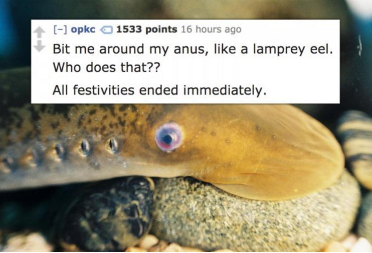 15 People Dish the Strangest Thing Someone Did to Them During Sex