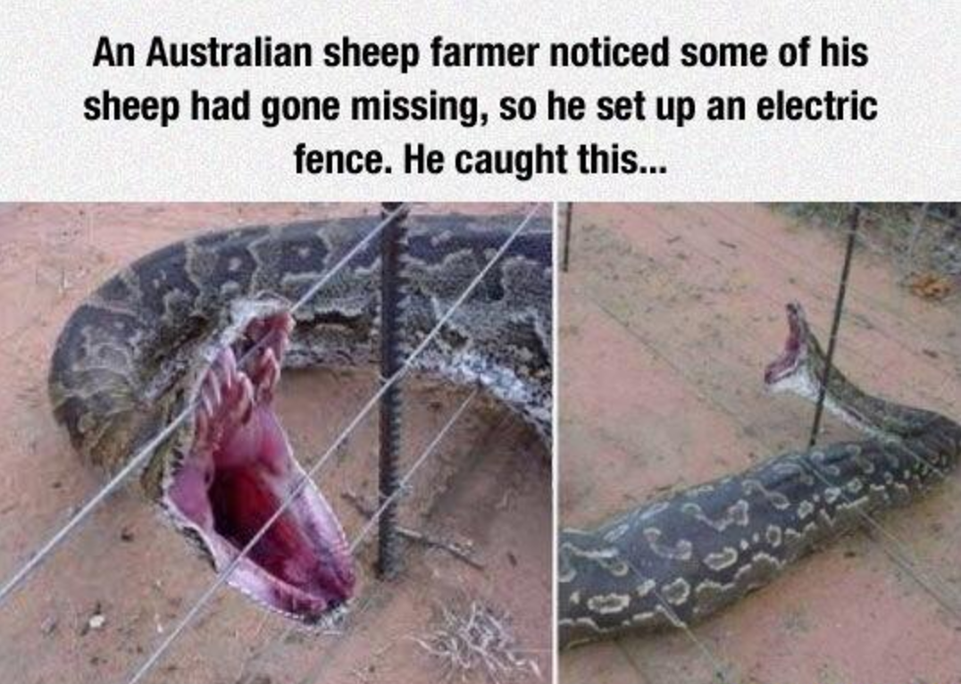 30 creepy pics from Australia