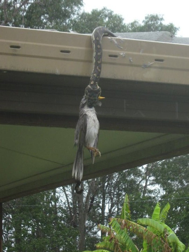 30 creepy pics from Australia