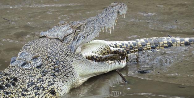 30 creepy pics from Australia