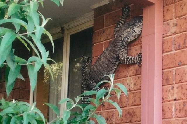 30 creepy pics from Australia