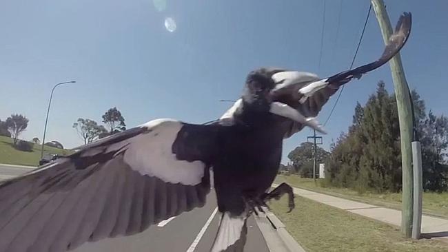 30 creepy pics from Australia