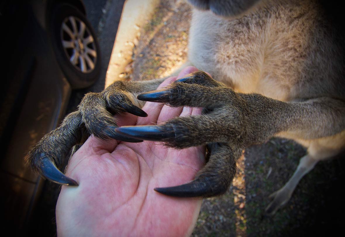 30 creepy pics from Australia