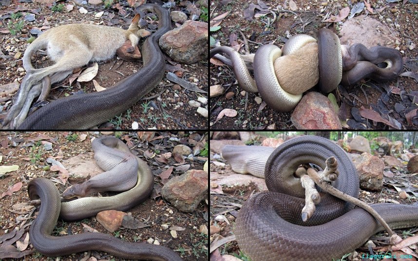 30 creepy pics from Australia