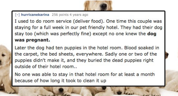 16 Hotel Housekeepers Explain The Craziest Things They've Found Cleaning