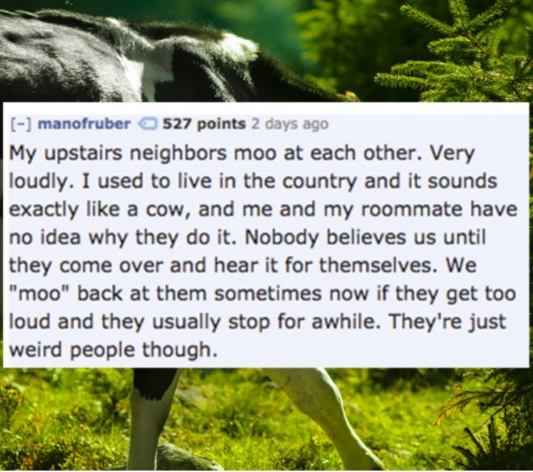 nature - manofruber 527 points 2 days ago My upstairs neighbors moo at each other. Very loudly. I used to live in the country and it sounds exactly a cow, and me and my roommate have no idea why they do it. Nobody believes us until they come over and hear