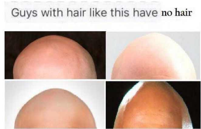 15 Anti-Memes That Are Completely Sensible and Strangely Refreshing