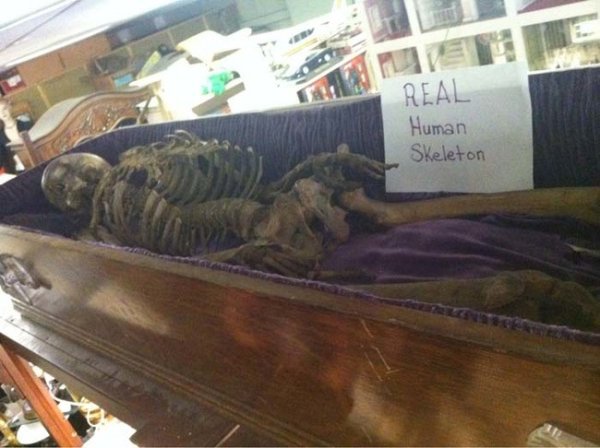 strangest thrift store finds - V Real Human Skeleton