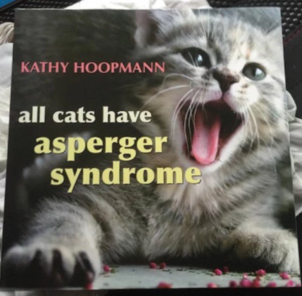 all cats have asperger syndrome pdf - Kathy Hoopmann all cats have asperger syndrome