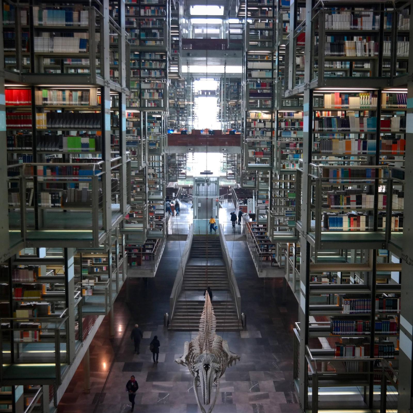 A Mexican Library