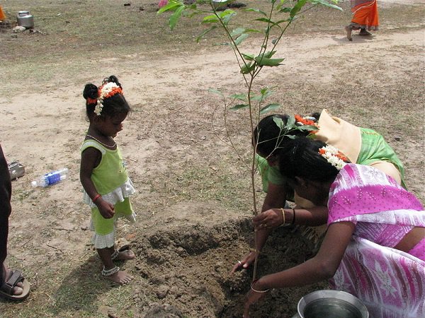 With the help of 800,000 volunteers, India planted 50 million trees in less than 24 hours.