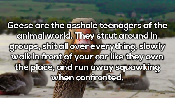 20 Shower Thoughts are a total mind f*ck