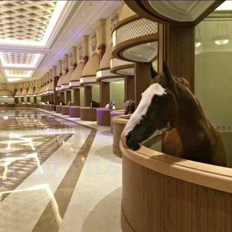 Only in Dubai would you see a marble-floored horse stable