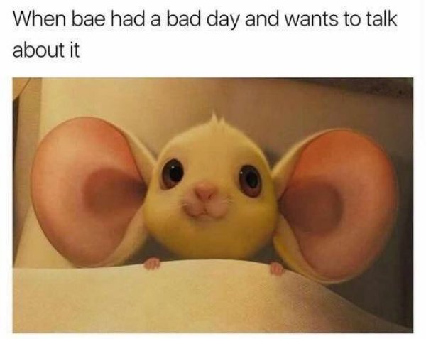 31 Wholesome memes and photos will make you feel things